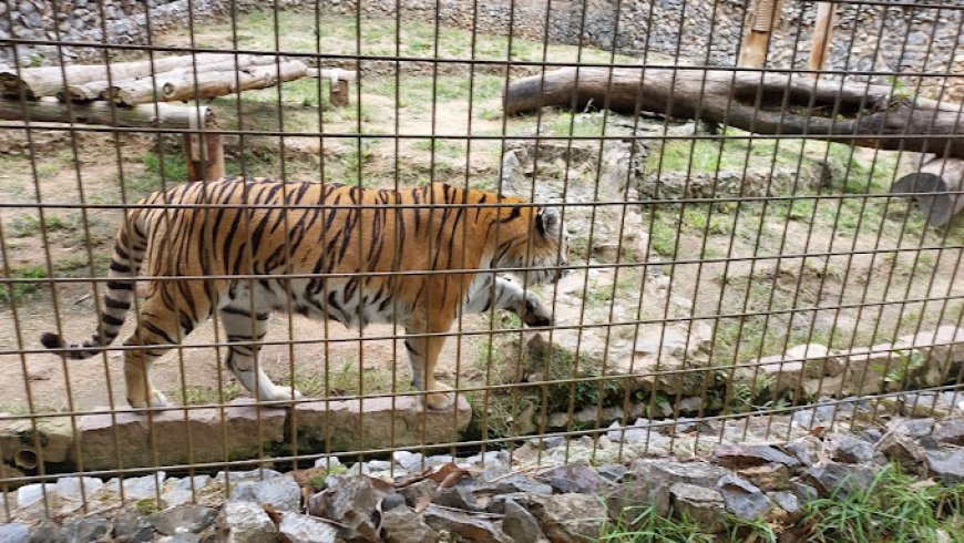 Turismo Ecológico em Sorocaba: Parques e Áreas de Conservação