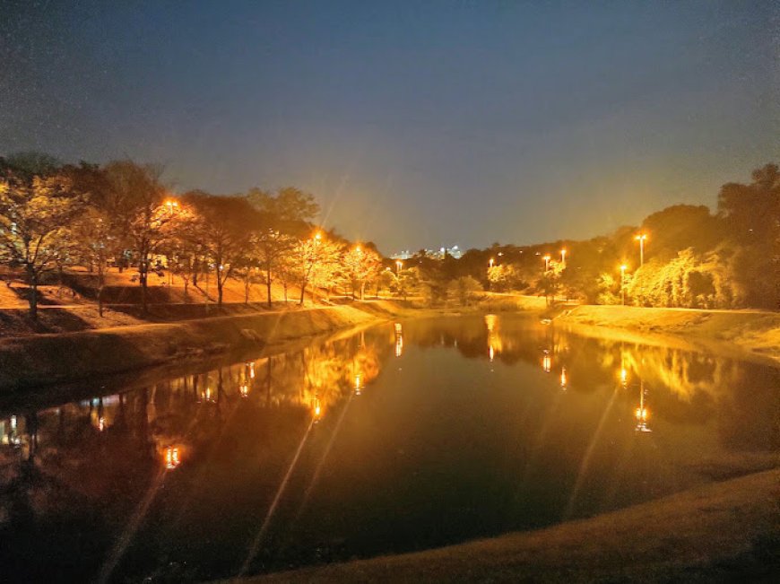 Aventuras na Pista de Caminhada do Campolim