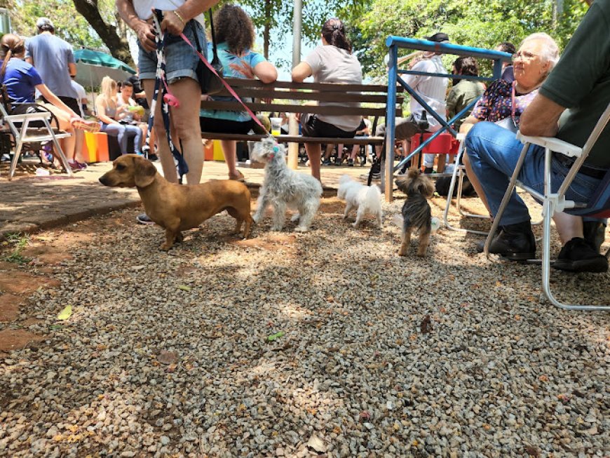 Aventuras na Pista de Caminhada do Campolim