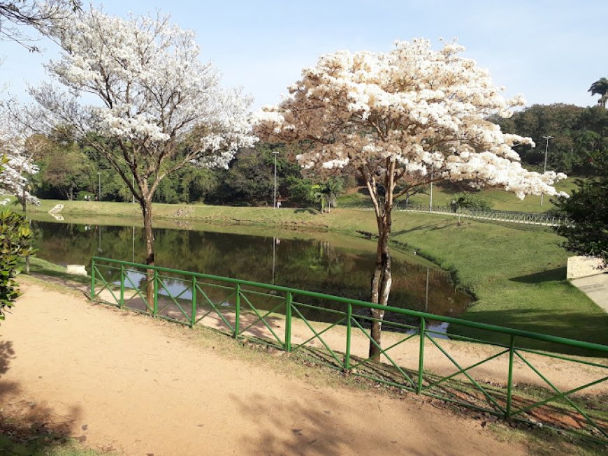 Aventuras na Pista de Caminhada do Campolim