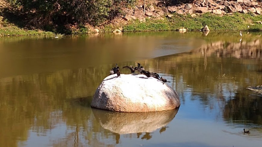 Aventuras na Pista de Caminhada do Campolim