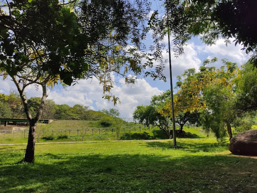 Aventuras na Pista de Caminhada do Campolim