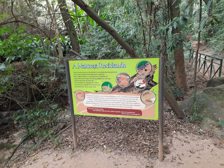 Explorando o Parque da Biquinha