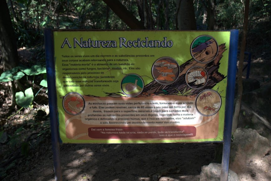 Explorando o Parque da Biquinha