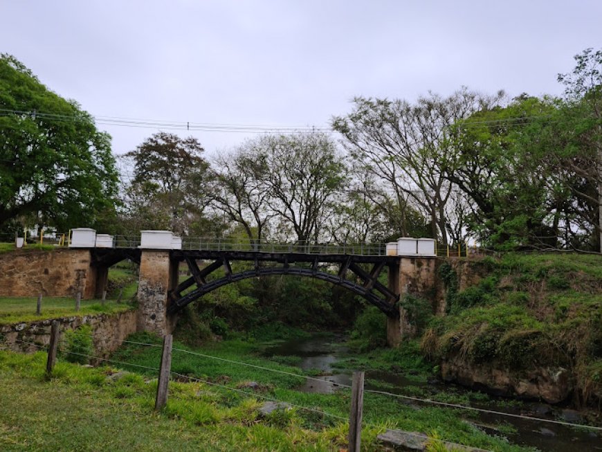 Visita ao Parque Natural do Morro de Ipanema em Ipero SP