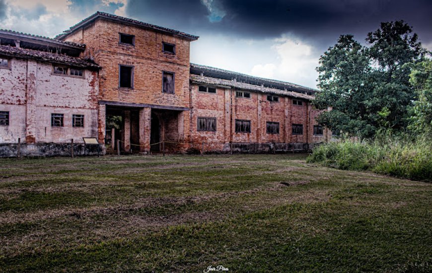 Visita ao Parque Natural do Morro de Ipanema em Ipero SP