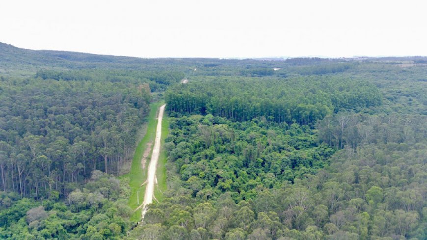 Visita ao Parque Natural do Morro de Ipanema em Ipero SP