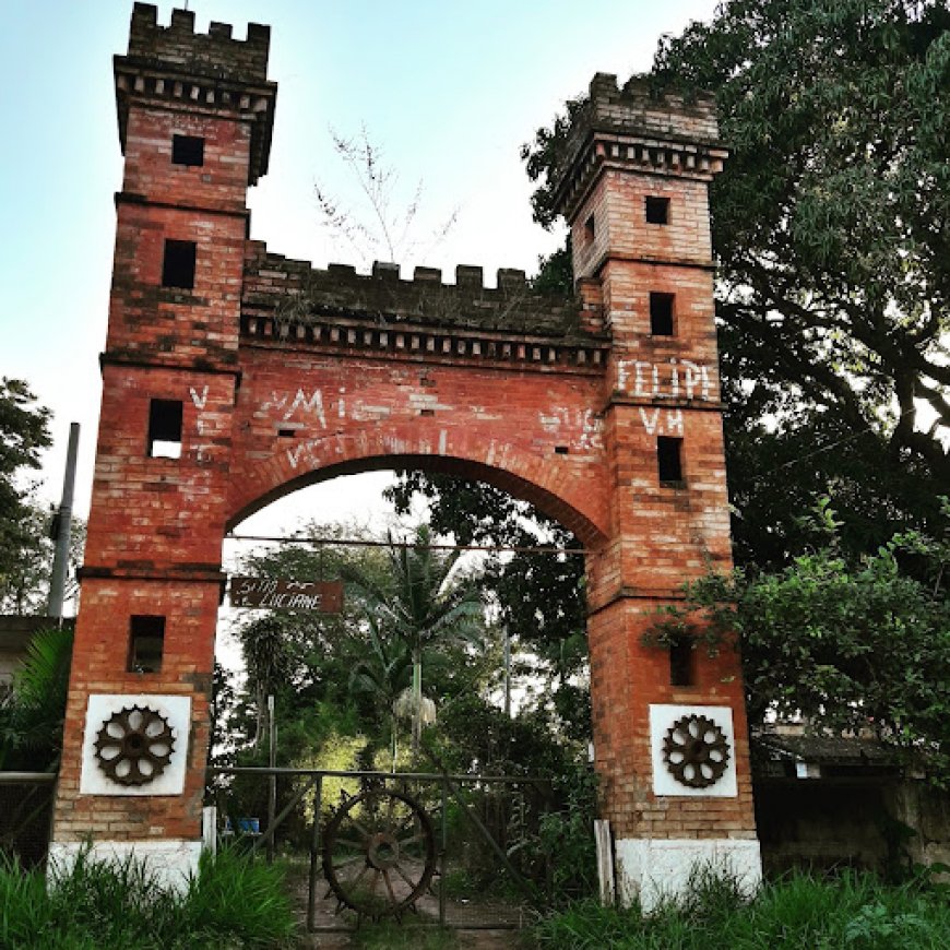 Visita ao Parque Natural do Morro de Ipanema em Ipero SP
