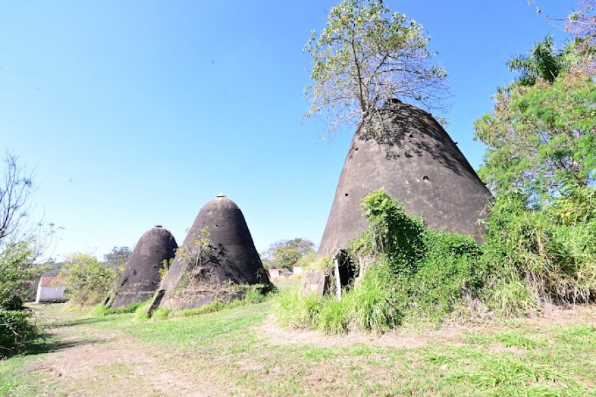 Visita ao Parque Natural do Morro de Ipanema em Ipero SP