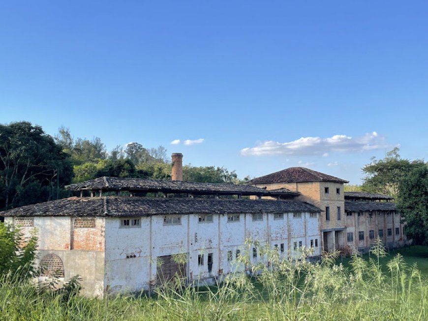 Visita ao Parque Natural do Morro de Ipanema em Ipero SP