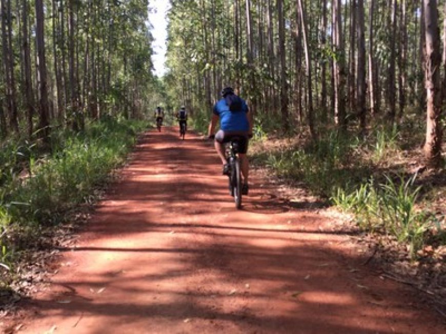 Onde Andar de Bike em Sorocaba: Ciclovias e Trilhas